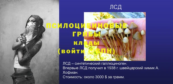 apvp Абаза
