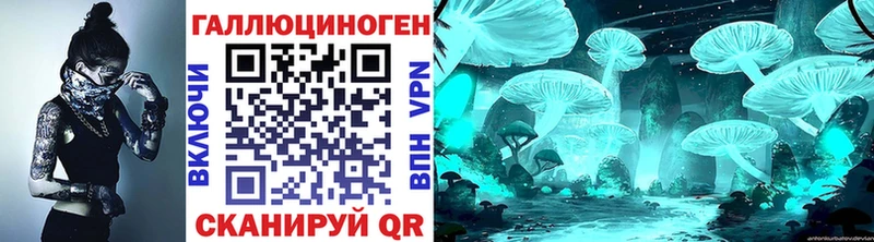 Галлюциногенные грибы Psilocybine cubensis  Петров Вал 